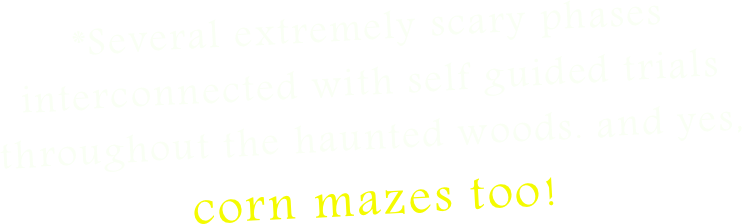 *Several extremely scary phases interconnected with self guided trials throughout the haunted woods. and yes, 
corn mazes too!  